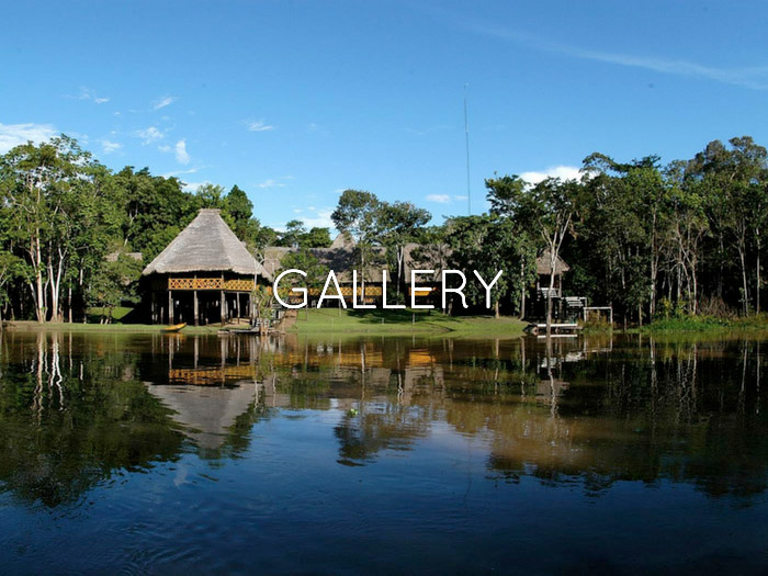 Amazon Yarapa Gallery