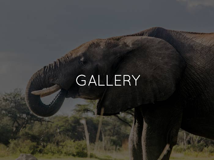 The Hide Safari Camp Gallery