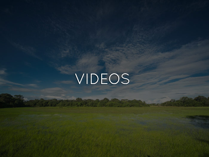 Caiman Ecological Refuge Videos