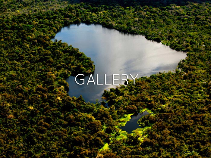 Nomad Amazonia Gallery